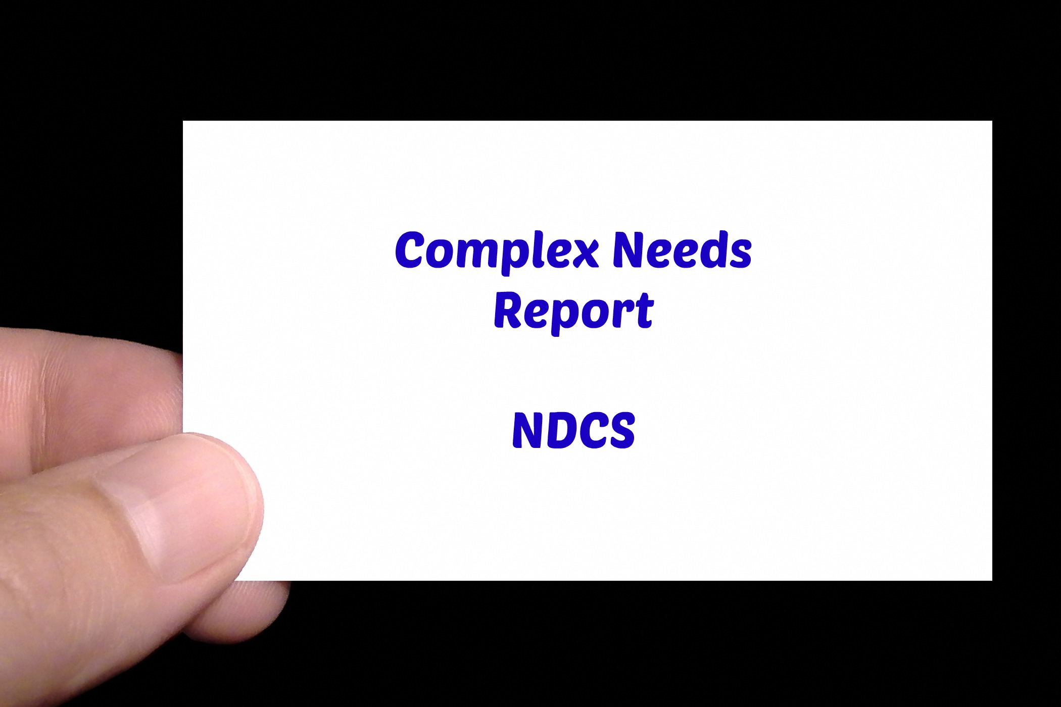 Comp Needs Report NDCS Bringing Us Together